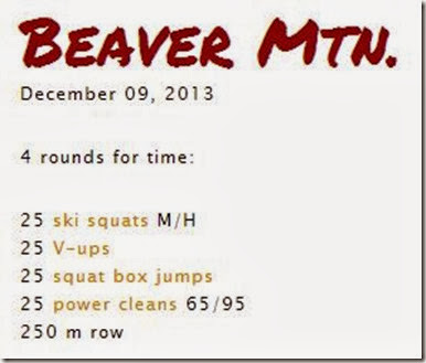 beaver